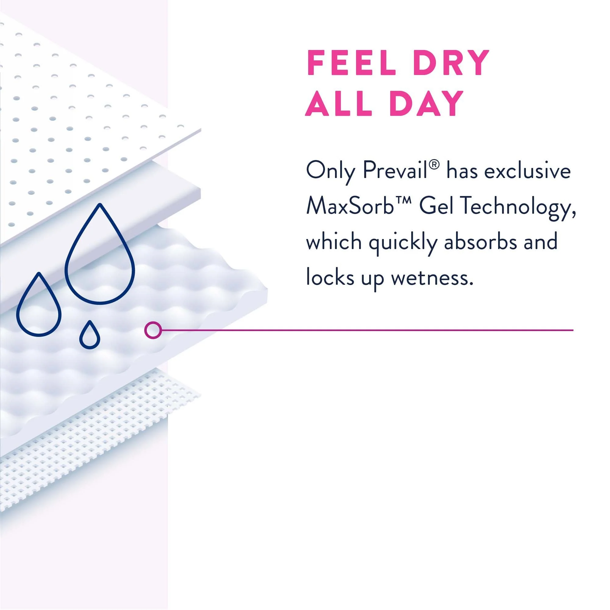 Prevail® Daily Absorbent Underwear, X-Large, Lavender, 64 ct - Image 8